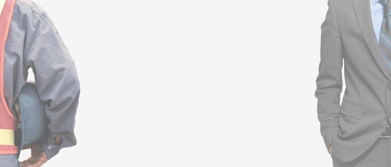 Professional in work environment